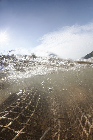 Hong Kong Island. Deep Water Bay, 2009