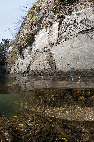 Hong Kong Island. Tai Tam Tuk Reservoir, 2009