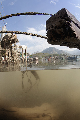 New Territories. Lantau Island, 2009