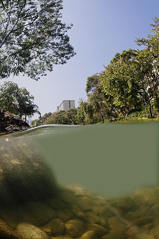 New Territories. Tsuen Wan, Shing Mun Valley, 2009