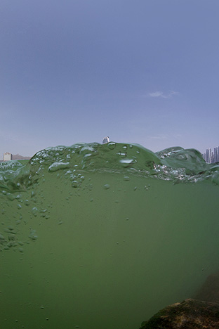 New Territories. Tsing Yi, 2009