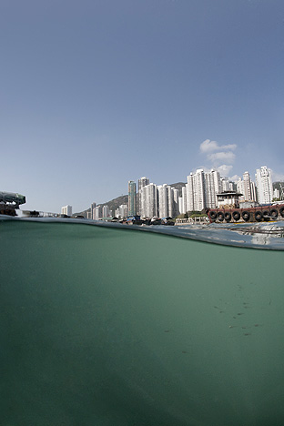 Hong Kong Island. Ap Lei Chau, 2010