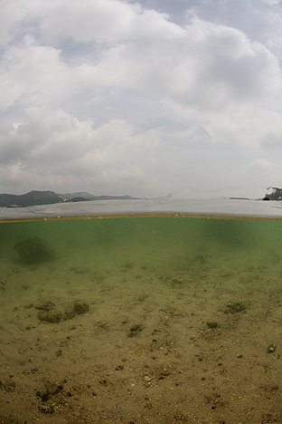 New Territories. North of Sai Kung, 2010