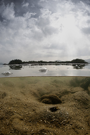 New Territories. North of Sai Kung, 2010