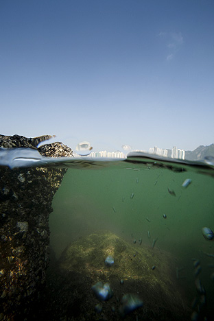 Hong Kong Island. Shau Kei Wan, Typhoon Shelter, 2010